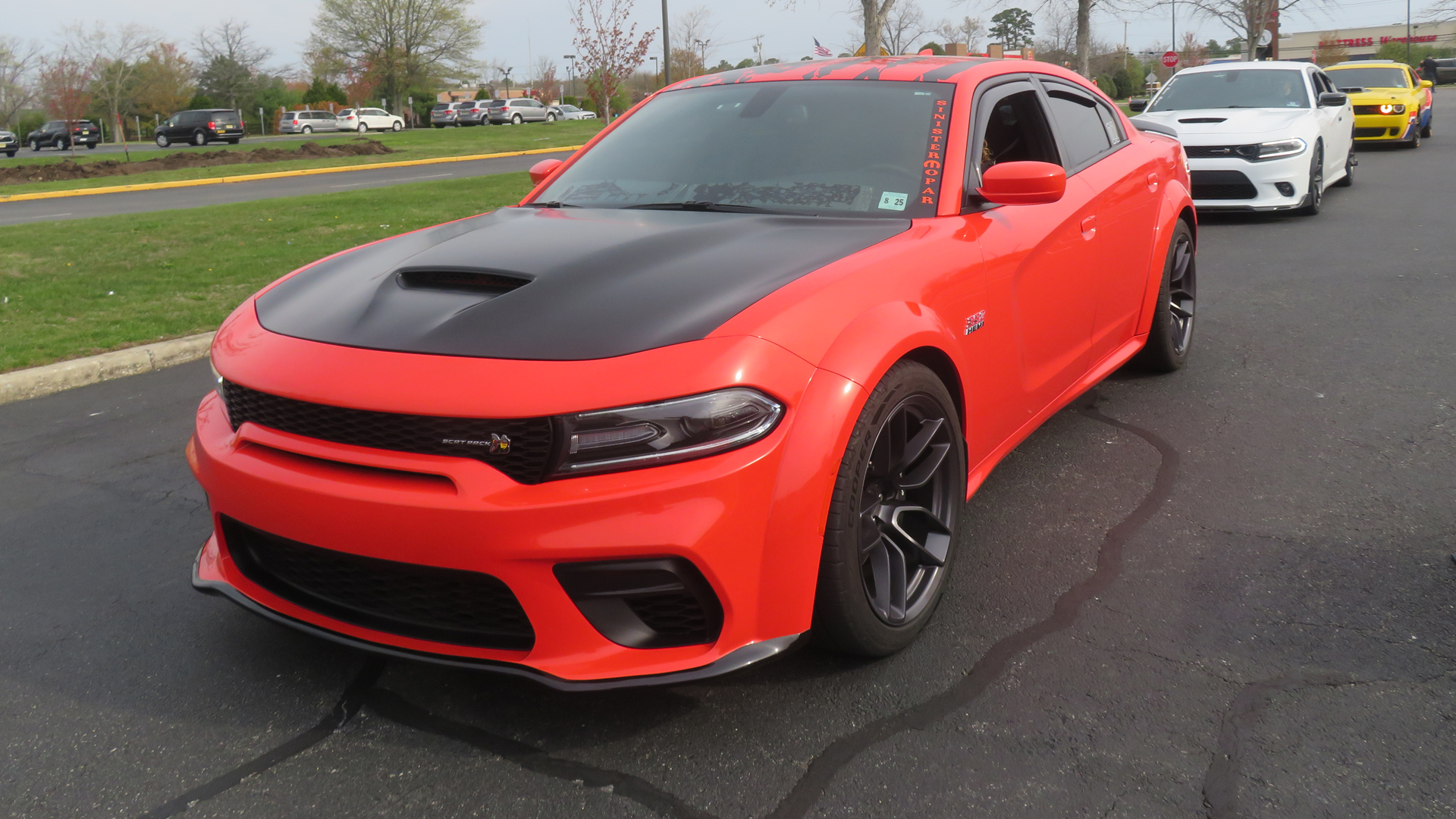 Show Car Image