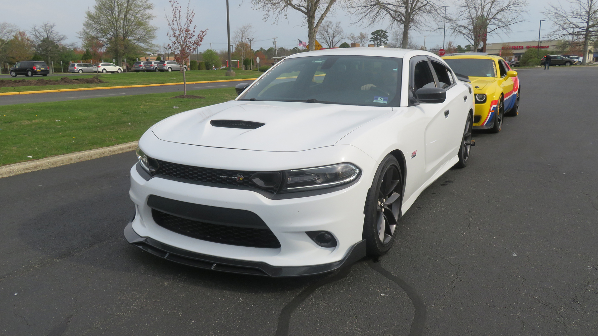 Show Car Image